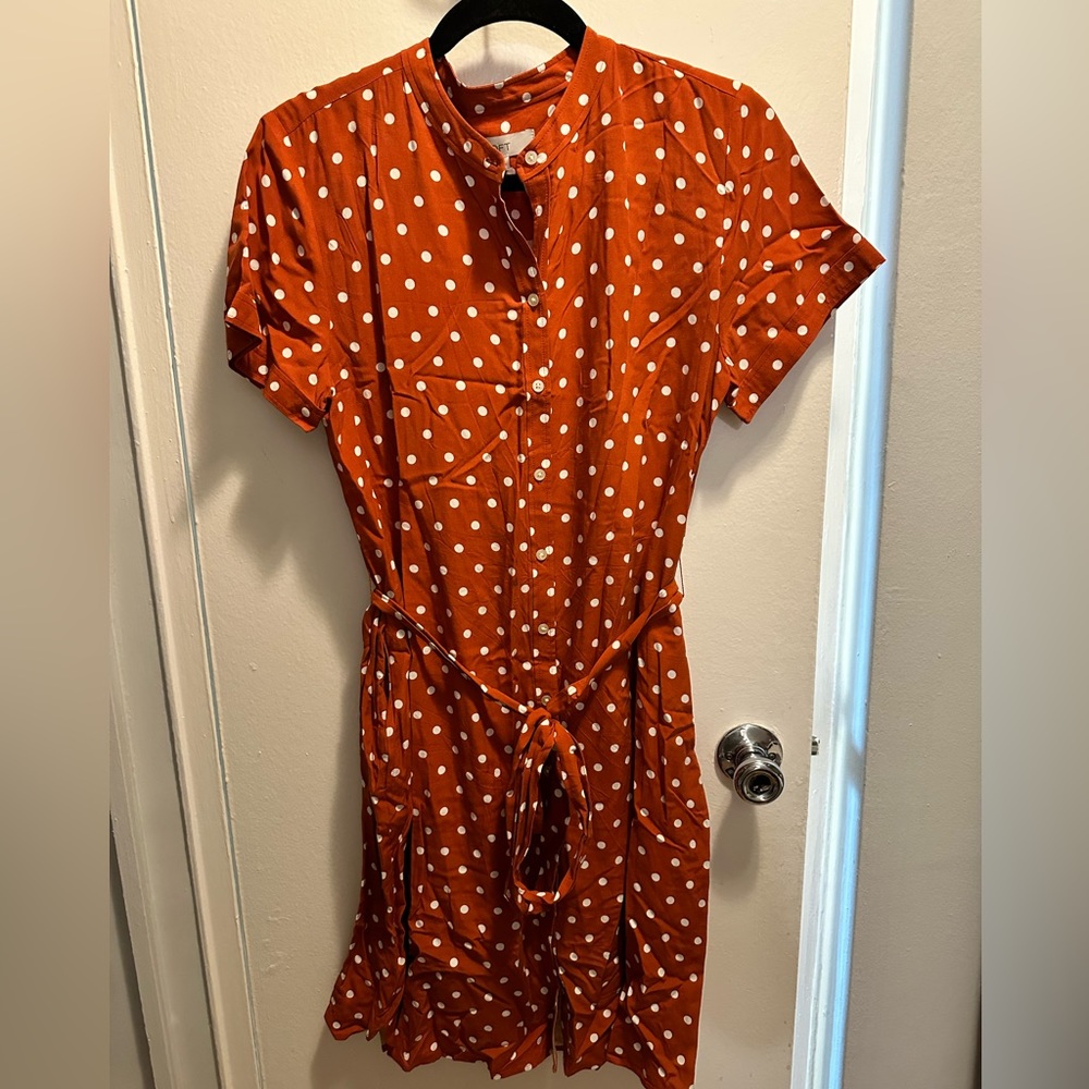 Burnt orange w/ white polka dots